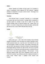 Research Papers 'Uzņēmums "MADARA ecocosmetics"', 1.