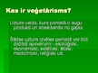 Presentations 'Veģetārisms', 2.