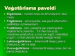 Presentations 'Veģetārisms', 5.