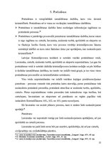Research Papers 'Latvijas Kriminālprocesa kodeksa pierādīšana', 21.