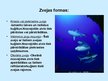 Presentations 'Pasaules zivsaimniecība', 3.