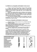 Term Papers 'Trenera diplomprojekts stepaerobikā', 10.