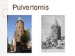 Presentations 'Pulvertornis', 1.