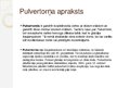 Presentations 'Pulvertornis', 3.