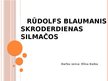 Presentations 'Luga "Skroderdienas Silmačos"', 1.