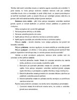 Term Papers 'Valsts policijas kompetence vardarbības novēršanā ģimenē', 7.
