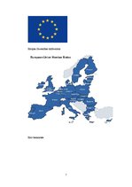 Research Papers 'Eiropas Savienība', 7.
