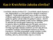 Presentations 'Kreicfelda - Jakoba slimība', 2.