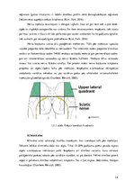 Research Papers 'Nervus ischiadicus anatomija un traucējumu izpausmes', 14.