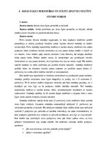 Term Papers 'Janas Egles personības un stāstu krājuma „Svešie jeb Miļeņkij ti moi” apguve lit', 30.