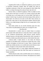 Research Papers 'Lietu iedalījums', 10.