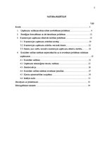 Research Papers 'Uzņēmuma efektīvas darbības problēmas', 2.