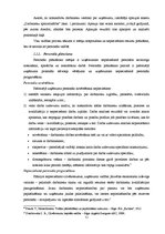 Term Papers 'SIA "X" saimnieciskās darbības analīze un attīstības iespējas', 13.
