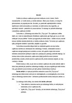 Research Papers 'Mārketinga aktivitātes SIA "Čilija pica"', 2.