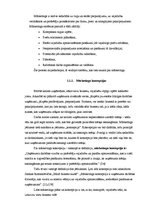 Research Papers 'Mārketinga aktivitātes SIA "Čilija pica"', 5.