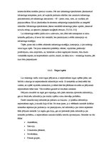Research Papers 'Mārketinga aktivitātes SIA "Čilija pica"', 8.