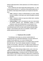 Research Papers 'Mārketinga aktivitātes SIA "Čilija pica"', 13.