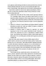 Research Papers 'Mārketinga aktivitātes SIA "Čilija pica"', 14.