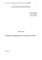 Practice Reports 'Pirmsskolas pedagoģiskā procesa organizācija un vadība', 1.