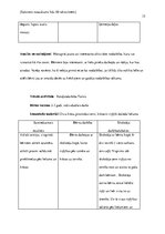 Practice Reports 'Pirmsskolas pedagoģiskā procesa organizācija un vadība', 15.