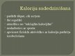 Presentations 'Kalorijas', 5.