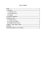 Research Papers 'Interneta pārvaldības jēdziens un attīstības tendences, e-pārvalde', 2.