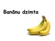 Presentations 'Banānu dzimta', 1.