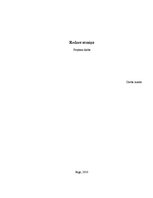 Research Papers 'Redzes atmiņa', 1.