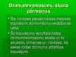 Presentations 'Dzimumhromosomu skaita novirze', 5.