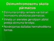 Presentations 'Dzimumhromosomu skaita novirze', 18.