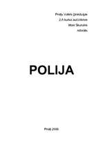 Research Papers 'Polija', 1.