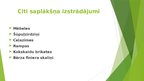 Presentations 'AS "Latvijas Finieris"', 8.
