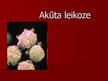 Presentations 'Akūta leikoze', 1.