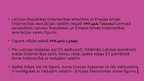 Presentations 'Latvijas un ES brīvās tirdzniecības līgums', 2.
