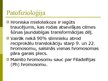 Presentations 'Hroniskas mieloleikozes raksturojums un laboratoriskā diagnostika', 3.