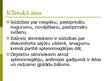 Presentations 'Hroniskas mieloleikozes raksturojums un laboratoriskā diagnostika', 4.