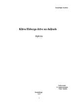 Research Papers 'Klāva Elsberga dzīve un daiļrade', 1.