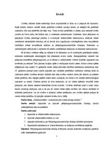 Research Papers 'Zibensnovedējs - aizsardzība pret zibens kaitīgo ietekmi', 5.