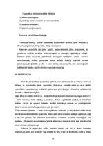 Research Papers 'Menedžmenta projekts uzņēmumā "ALORA"', 26.