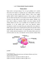 Research Papers 'Starpsmadzenes: talāms, metatalāms, epitalāms, iekšējā un ārējā uzbūve', 4.