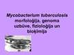 Presentations 'Mycobacterium tuberculosis morfoloģija, genoma uzbūve, fizioloģija un bioķīmija', 1.