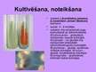 Presentations 'Mycobacterium tuberculosis morfoloģija, genoma uzbūve, fizioloģija un bioķīmija', 16.