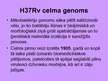 Presentations 'Mycobacterium tuberculosis morfoloģija, genoma uzbūve, fizioloģija un bioķīmija', 17.