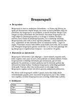 Research Papers 'Bruņurupuči', 4.