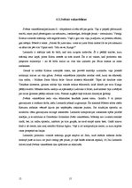 Research Papers 'Leonardo da Vinči - ģēnijs', 15.