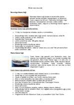Research Papers 'Kruīzu kuģi kā tūrisma sektors', 6.