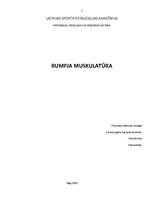 Summaries, Notes 'Rumpja muskulatūra', 1.