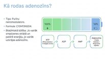 Presentations 'Adenozīns kā smadzeņu enerģijas un miera regulators', 4.