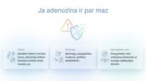 Presentations 'Adenozīns kā smadzeņu enerģijas un miera regulators', 8.