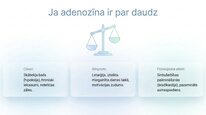 Presentations 'Adenozīns kā smadzeņu enerģijas un miera regulators', 9.